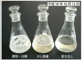 環境保全研究所 浄化植水 実験