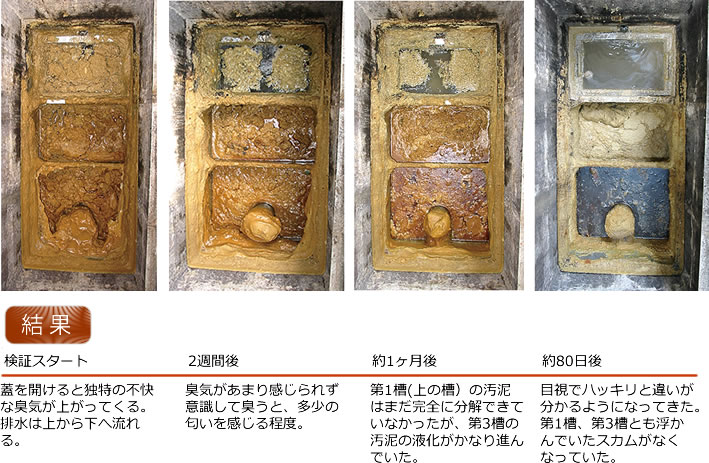 グリストラップ 使用方例 実験