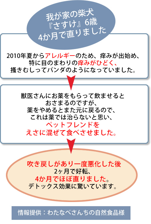 環境保全研究所 ペットの健康