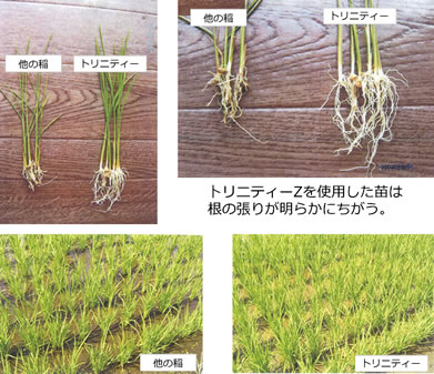 環境保全研究所 収穫量アップ 農業 使用方法