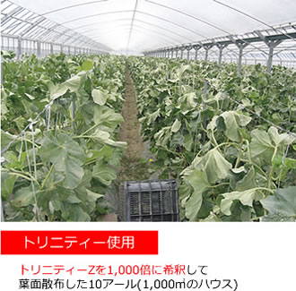 トリニティゼット 野菜 果物 効果