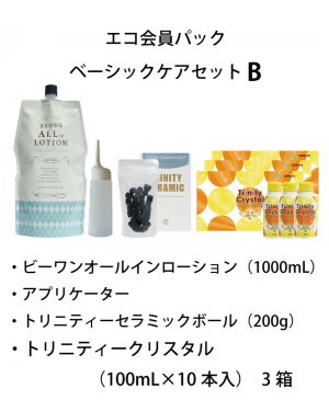 在庫が無くなり次第（10月中）販売終了