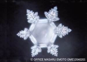 「アクアーリオ」の氷結結晶写真