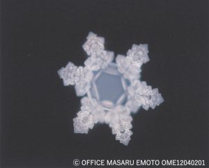 「トリニティーセラミック」の氷結結晶写真