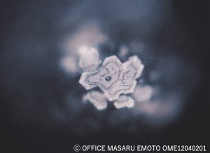 「水道水」の氷結結晶写真