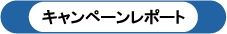 キャンペーンレポート